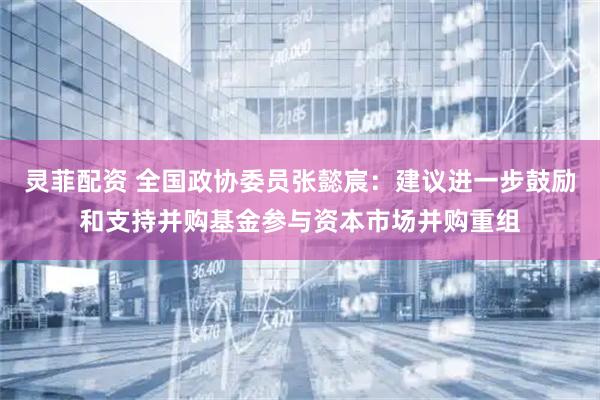 灵菲配资 全国政协委员张懿宸：建议进一步鼓励和支持并购基金参与资本市场并购重组