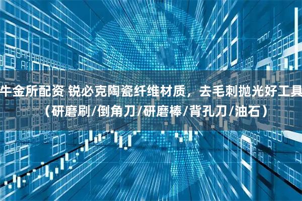 牛金所配资 锐必克陶瓷纤维材质，去毛刺抛光好工具 （研磨刷/倒角刀/研磨棒/背孔刀/油石）
