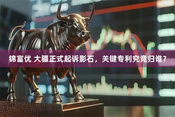 锦富优 大疆正式起诉影石,关键专利究竟归谁?