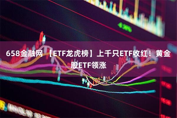 658金融网 【ETF龙虎榜】上千只ETF收红！黄金股ETF领涨
