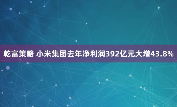 乾富策略 小米集团去年净利润392亿元大增43.8%