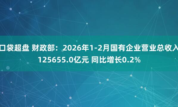 口袋超盘 财政部：2026年1-2月国有企业营业总收入125655.0亿元 同比增长0.2%