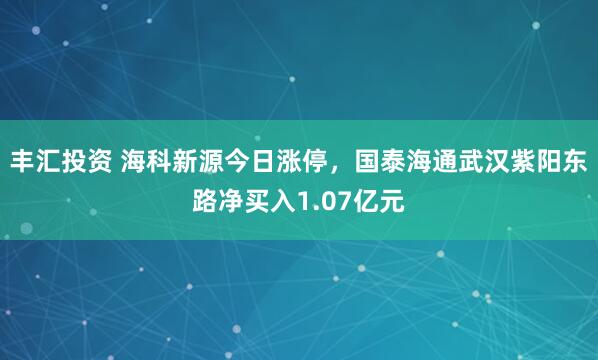 丰汇投资 海科新源今日涨停，国泰海通武汉紫阳东路净买入1.07亿元