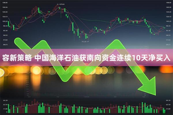 容新策略 中国海洋石油获南向资金连续10天净买入
