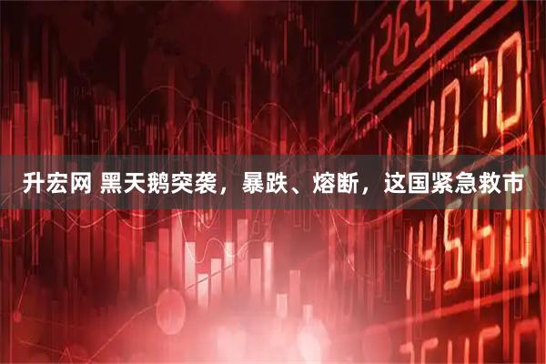 升宏网 黑天鹅突袭，暴跌、熔断，这国紧急救市