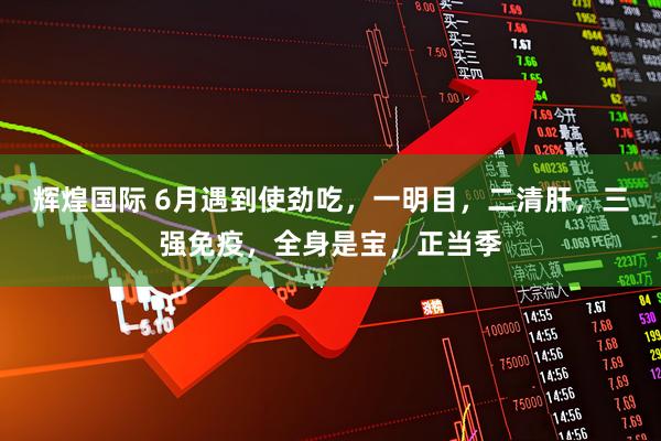 辉煌国际 6月遇到使劲吃，一明目，二清肝，三强免疫，全身是宝，正当季