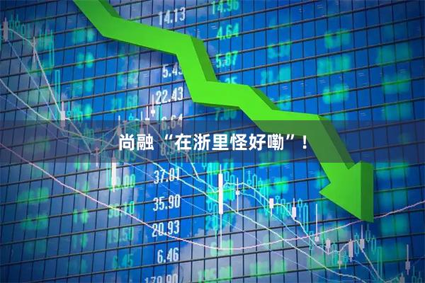 尚融 “在浙里怪好嘞”！