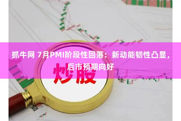 抓牛网 7月PMI阶段性回落:新动能韧性凸显,后市预期向好
