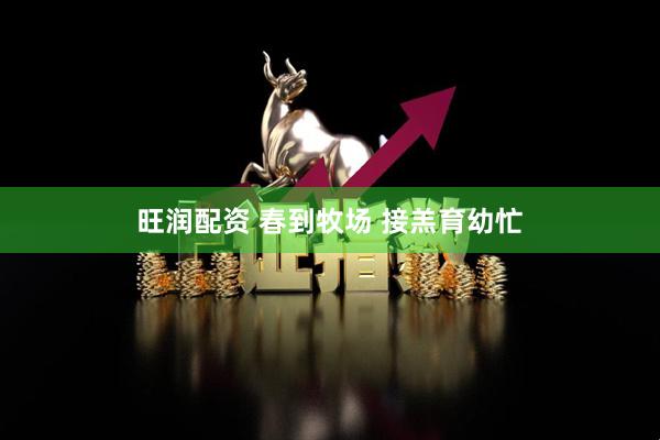 旺润配资 春到牧场 接羔育幼忙