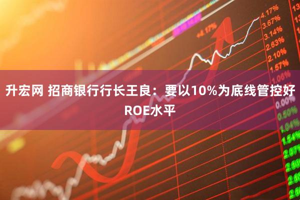 升宏网 招商银行行长王良：要以10%为底线管控好ROE水平