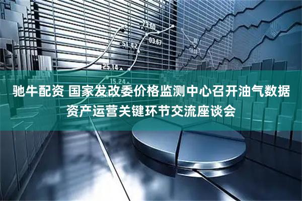 驰牛配资 国家发改委价格监测中心召开油气数据资产运营关键环节交流座谈会