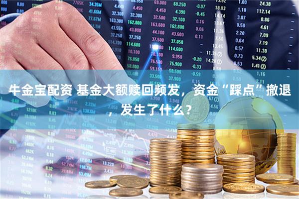 牛金宝配资 基金大额赎回频发，资金“踩点”撤退，发生了什么？