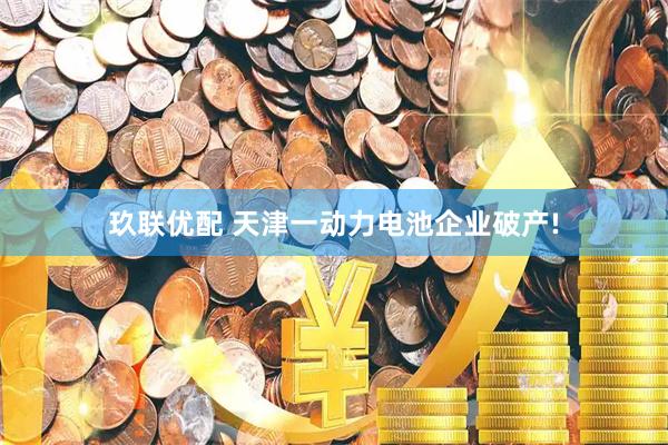 玖联优配 天津一动力电池企业破产!