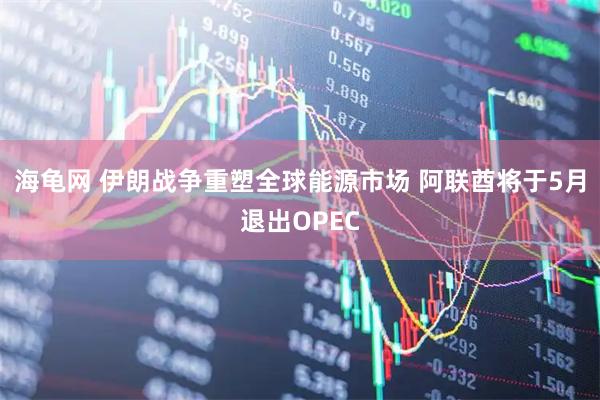 海龟网 伊朗战争重塑全球能源市场 阿联酋将于5月退出OPEC