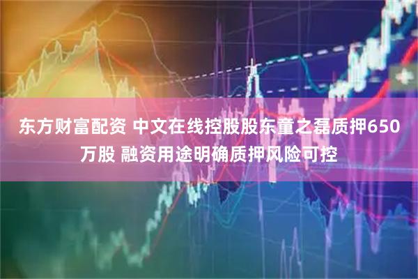 东方财富配资 中文在线控股股东童之磊质押650万股 融资用途明确质押风险可控