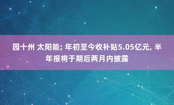 园十州 太阳能: 年初至今收补贴5.05亿元, 半年报将于期后两月内披露