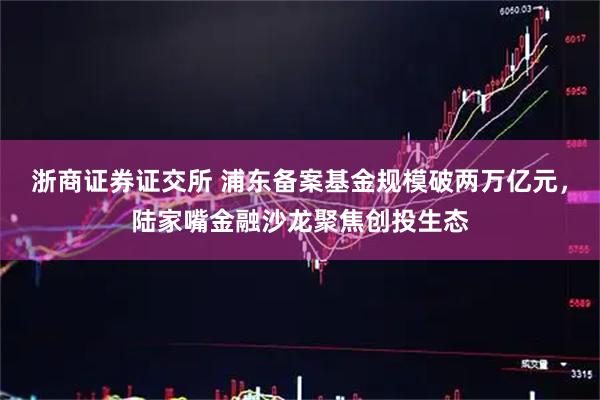 浙商证券证交所 浦东备案基金规模破两万亿元,陆家嘴金融沙龙聚焦创投生态