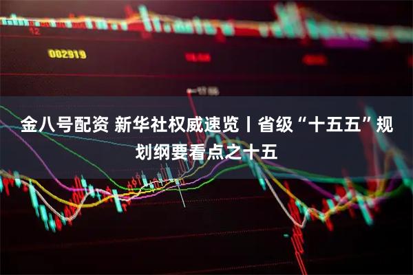 金八号配资 新华社权威速览丨省级“十五五”规划纲要看点之十五