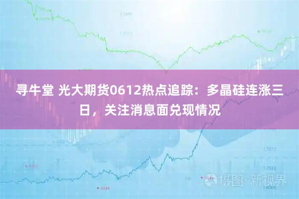 寻牛堂 光大期货0612热点追踪：多晶硅连涨三日，关注消息面兑现情况
