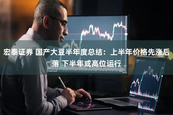宏泰证券 国产大豆半年度总结：上半年价格先涨后落 下半年或高位运行