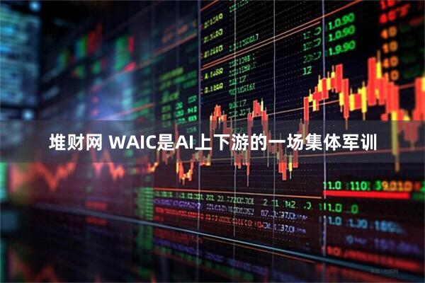 堆财网 WAIC是AI上下游的一场集体军训